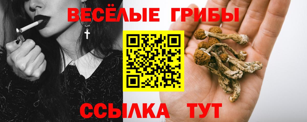 Псилоцибиновые грибы GOLDEN TEACHER  Вход с VPN  Куйбышев 