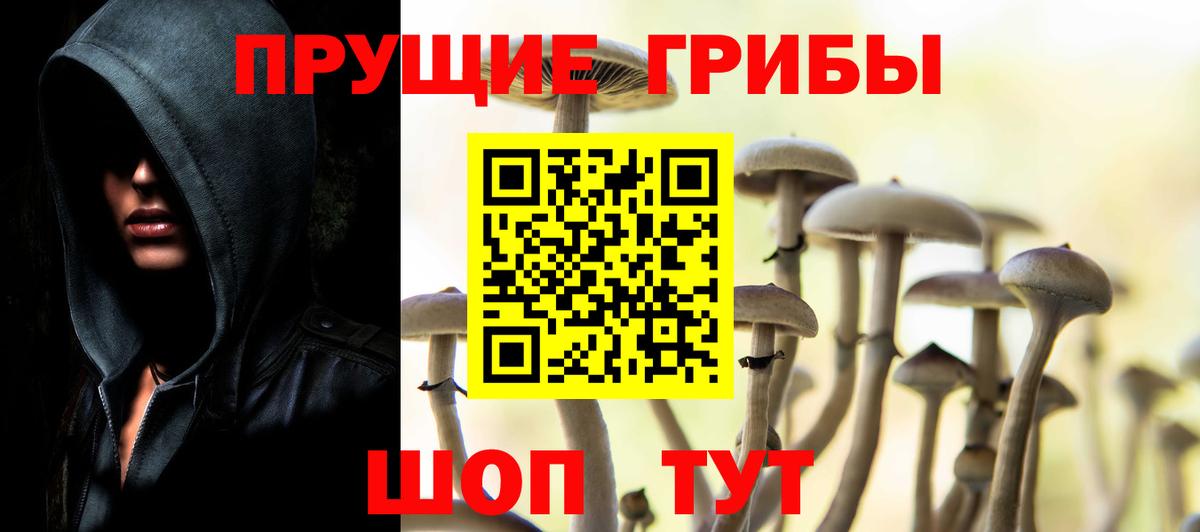 Псилоцибиновые грибы прущие грибы Куйбышев
